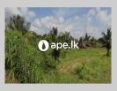 Land For Rent / Lease In ANURADHAPURA